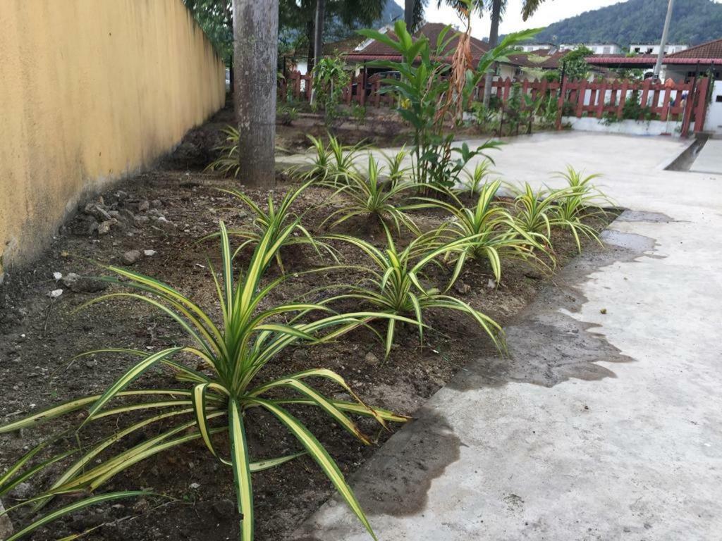 The Garden Vacation Home Lumut Ngoại thất bức ảnh